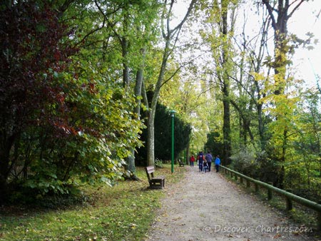 Promenade des Bords de L'Eure, Chartres - the trees