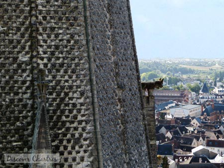 The south tower spire with its scales and the gargoyle