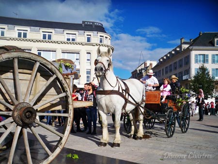 A horse-drawn carriage