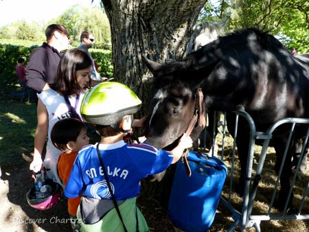 Children with Horses