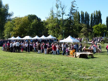 Grape Harvest Festival in Chartres