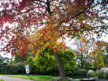 Autumn colors in La Petite Venise