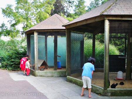 The fowl in Parc des Bords de L'Eure