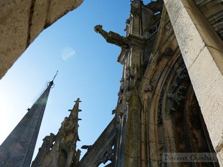 The sculptures, the gargoyle and the top of the south tower