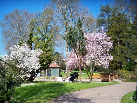 La Petite Venise, Chartres - the cherry blossom