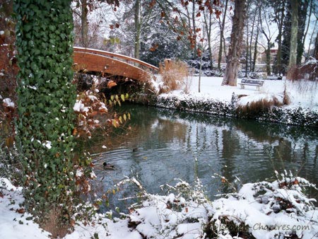 Winter color in La Petite Venise